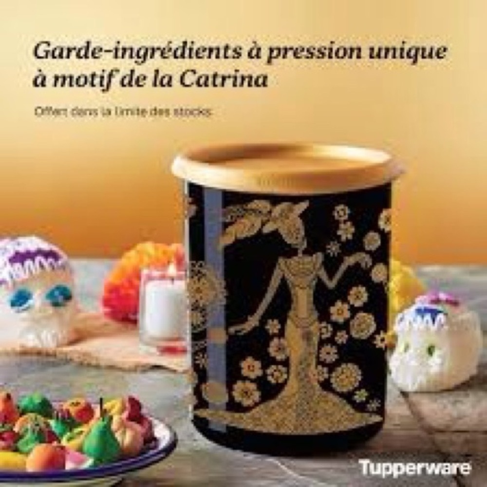 Tupperware One Touch  Canister The Catrina